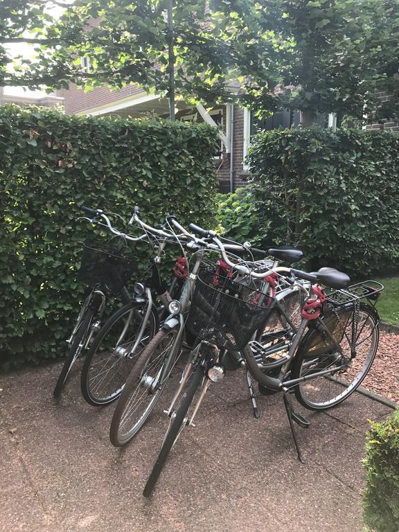 Bbb 3* Haarlem